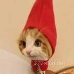 Avatar Mauricio Calderón